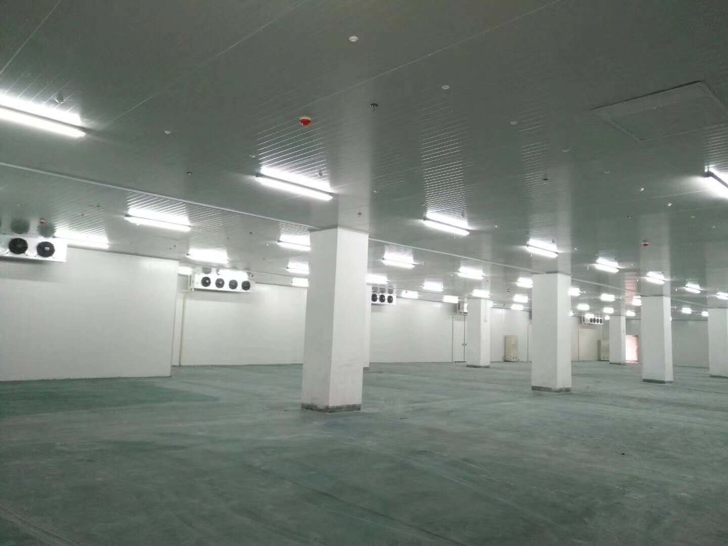 低溫冷凍庫(kù)